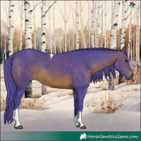 Horse Color:Watercolor Brown Tobiano 