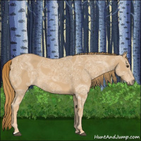 Horse Color:Chestnut Ice 