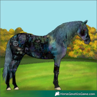 Horse Color:ERROR: UNKNOWN ANOMALY
