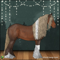 Horse Color:Liver Chestnut Tobiano