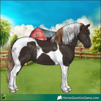 Horse Color:Liver Chestnut Tobiano