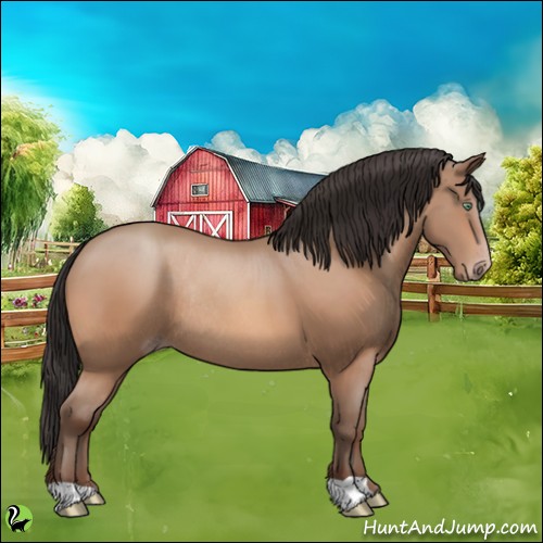 Horse Color:Sable Champagne Rabicano 