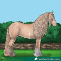 Horse Color:Gold Champagne Sabino 