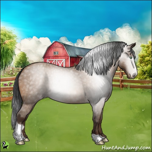 Horse Color:Gray Sable Champagne Sabino Rabicano