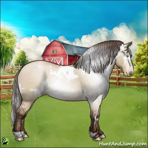 Horse Color:Gray White Spotted Buckskin Pearl Dun Rabicano