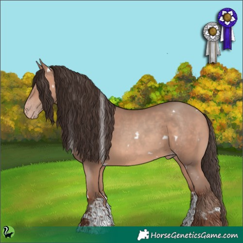Horse Color:White Spotted Amber Champagne Sabino