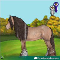 Horse Color:White Spotted Amber Champagne Sabino