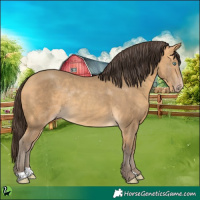 Horse Color:Sable Cream Champagne Rabicano 