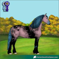 Horse Color:Void Watercolor Grullo Tobiano 