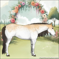 Horse Color:White Spotted Buckskin Roan Rabicano 
