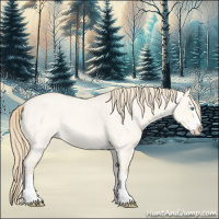 Horse Color:Perlino Roan Dun Splash 