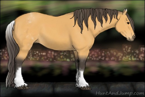 Horse Color:White Spotted Buckskin 