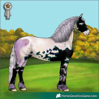 Horse Color:ERROR: UNKNOWN ANOMALY