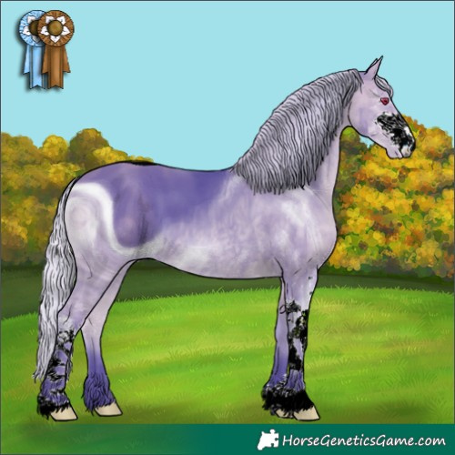 Horse Color:ERROR: UNKNOWN ANOMALY