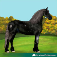 Horse Color:ERROR: UNKNOWN ANOMALY