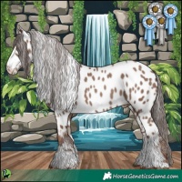 Horse Color:White Spotted Classic Champagne Near Leopard 