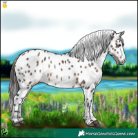 Horse Color:Brown Dun Near Leopard 