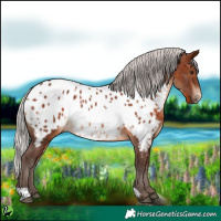 Horse Color:Silver Brown Near Leopard 