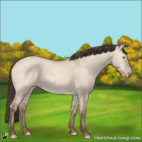 Horse Color:Sable Champagne Dun 