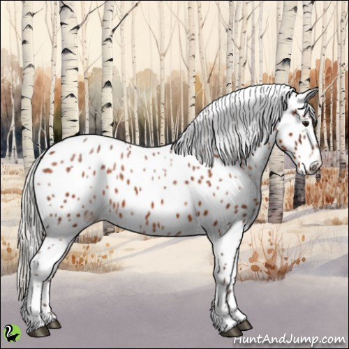 Horse Color:Silver Brown Sabino Appaloosa 
