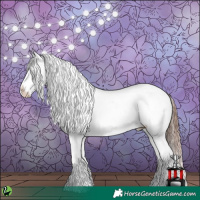 Horse Color:Classic Champagne Near Leopard 