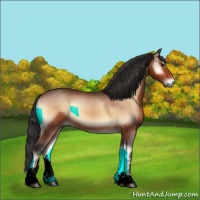 Horse Color:Brown Onyx Sabino 