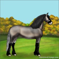 Horse Color:Blue Onyx Sabino Splash