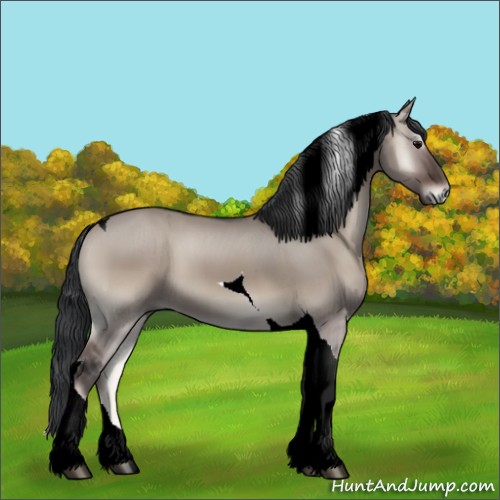 Horse Color:Grullo Onyx Tobiano