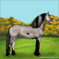 Horse Color:Grullo Onyx Tobiano 