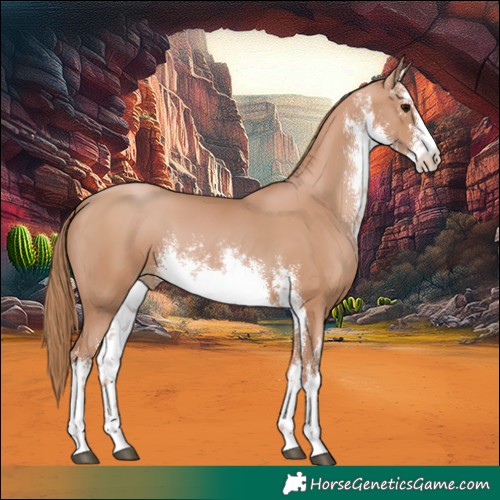 Horse Color:White Spotted Chocolate Black Pearl 