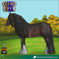 Horse Color:Brown Sabino 