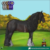 Horse Color:Brown Sabino 