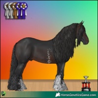 Horse Color:Brown Sabino 