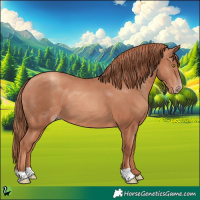 Horse Color:Gold Champagne 