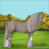 Horse Color:Silver Grullo