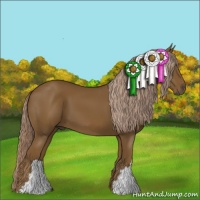 Horse Color:Chocolate Palomino 