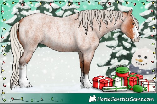 Horse Color:Silver Bay Roan Sabino Rabicano 