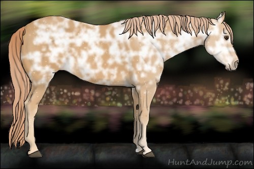 Horse Color:Palomino Ice Roan 