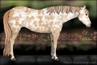 Horse Color:Palomino Ice Roan 