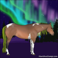 Horse Color:Painted Bay Tobiano 