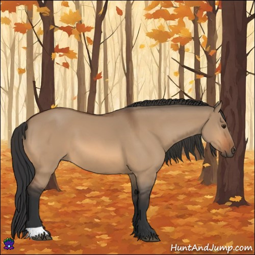 Horse Color:Bay Dun