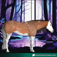 Horse Color:Bay Splash 