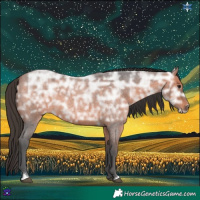 Horse Color:Bay Ice Roan 