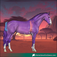 Horse Color:Watercolor Bay 