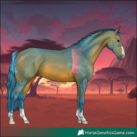 Horse Color:Watercolor Bay 