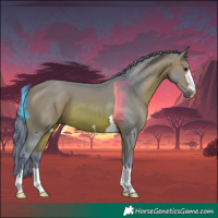 Horse Color:Watercolor Bay 