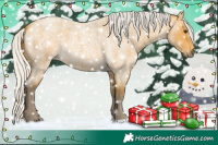 Horse Color:Silver Buckskin Roan 