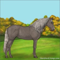 Horse Color:Silver Black 