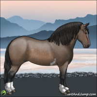 Horse Color:Brown Dun Tobiano