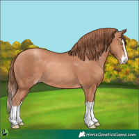 Horse Color:Gold Champagne Splash 